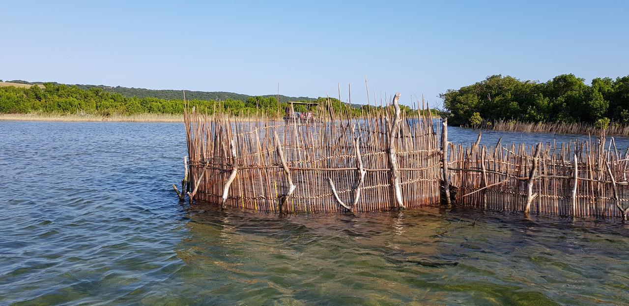 Kingfisher Bush Lodge Enkovukeni Экстерьер фото